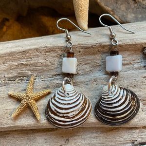 Zebra Shell Earrings